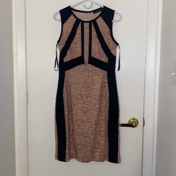 IVANKA TRUMP blush pink  and black knee length dress - Picture 1 of 3
